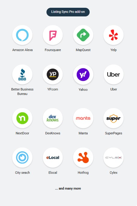 Automotive_Business_Listing_Sync_Pro_Add_On